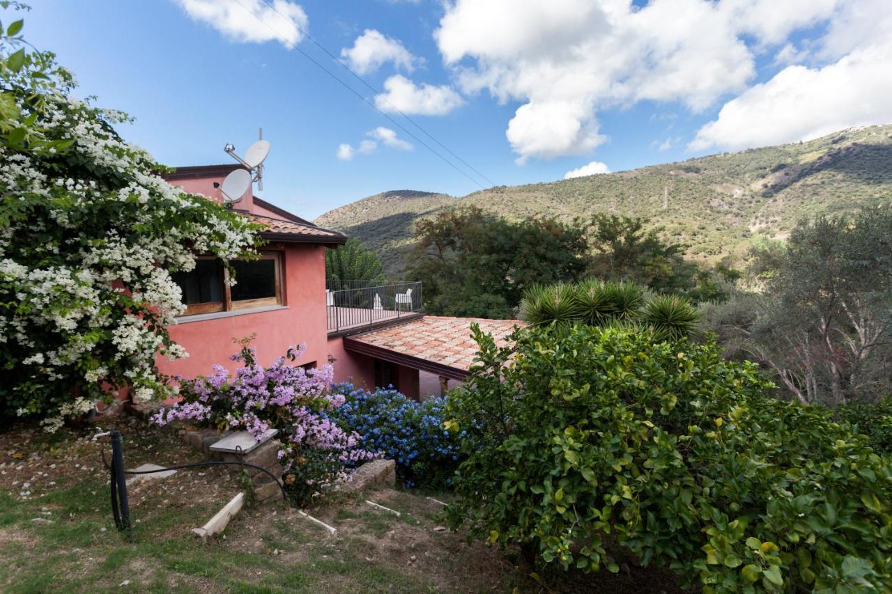 Capri Leone Agricontura旅馆 外观 照片
